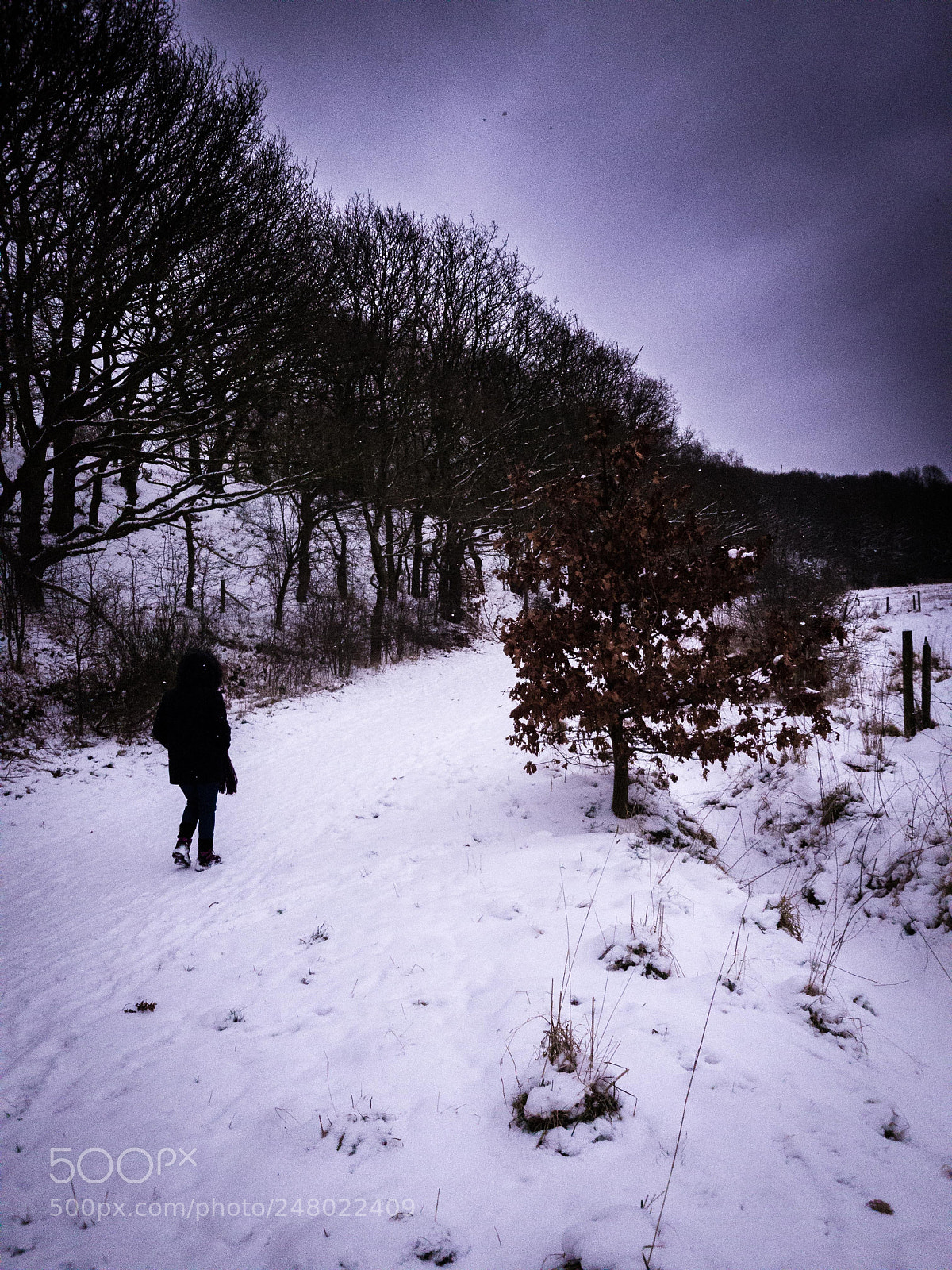 Samsung Galaxy S8+ sample photo. Walking into winter photography