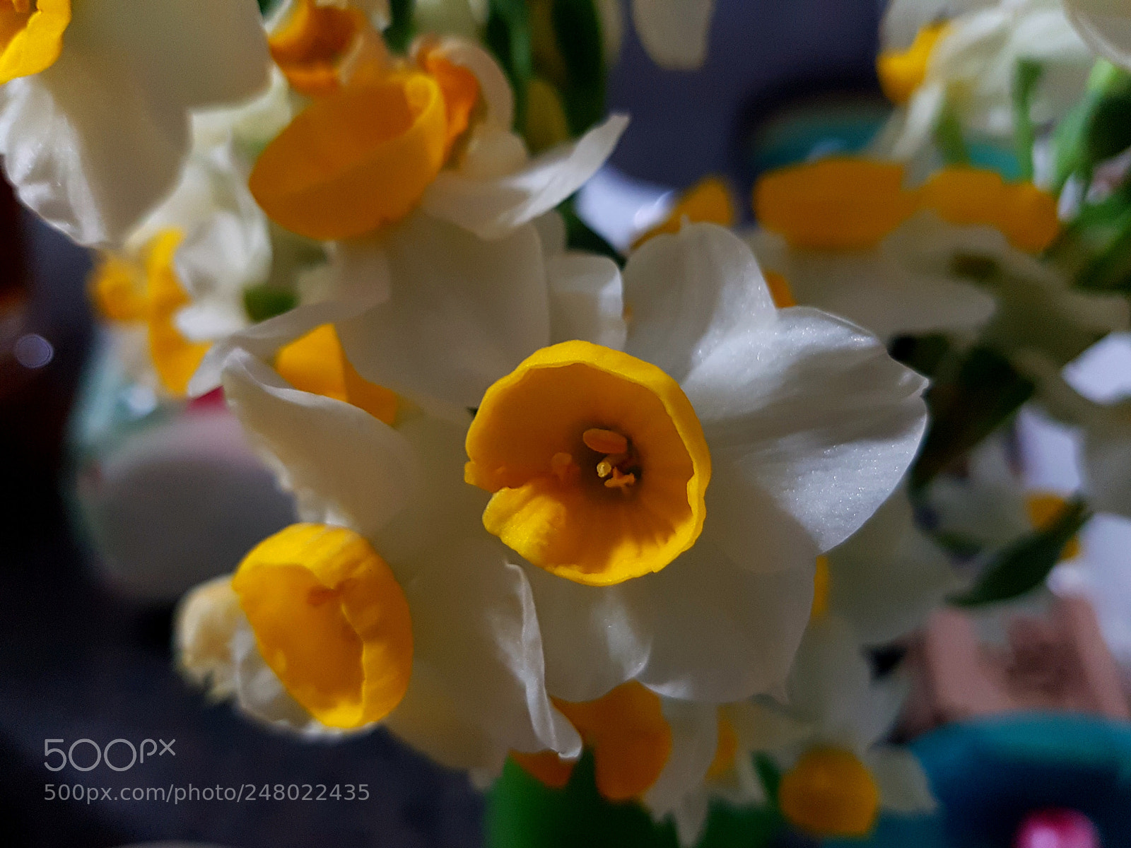 Samsung Galaxy S7 Edge sample photo. Untitled photography