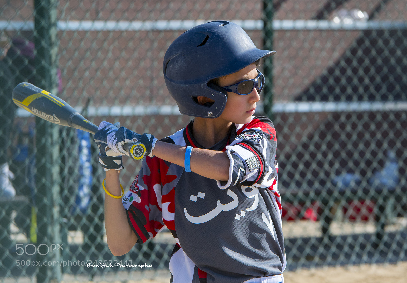 Nikon D500 sample photo. Baseball photography
