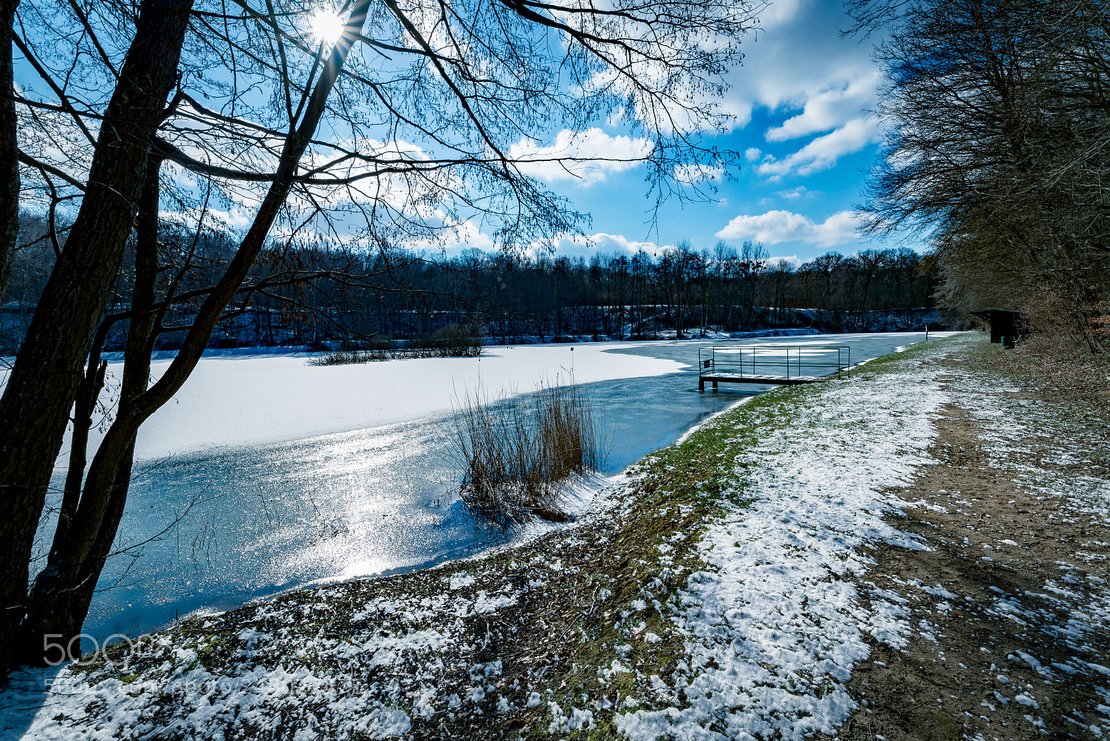 Nikon D610 sample photo. Untitled photography