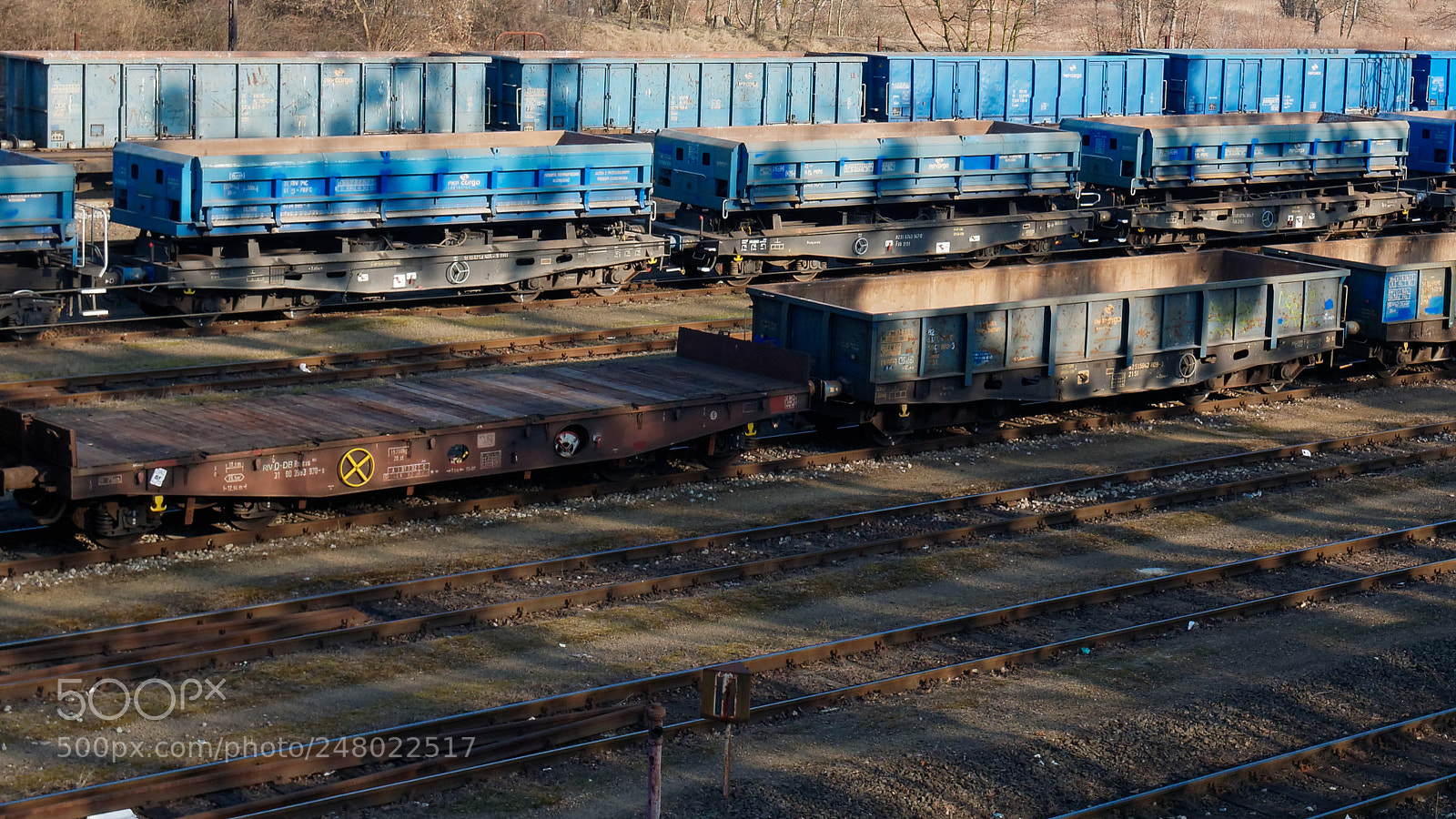 Panasonic Lumix DMC-GX85 (Lumix DMC-GX80 / Lumix DMC-GX7 Mark II) sample photo. Wagons 2 photography