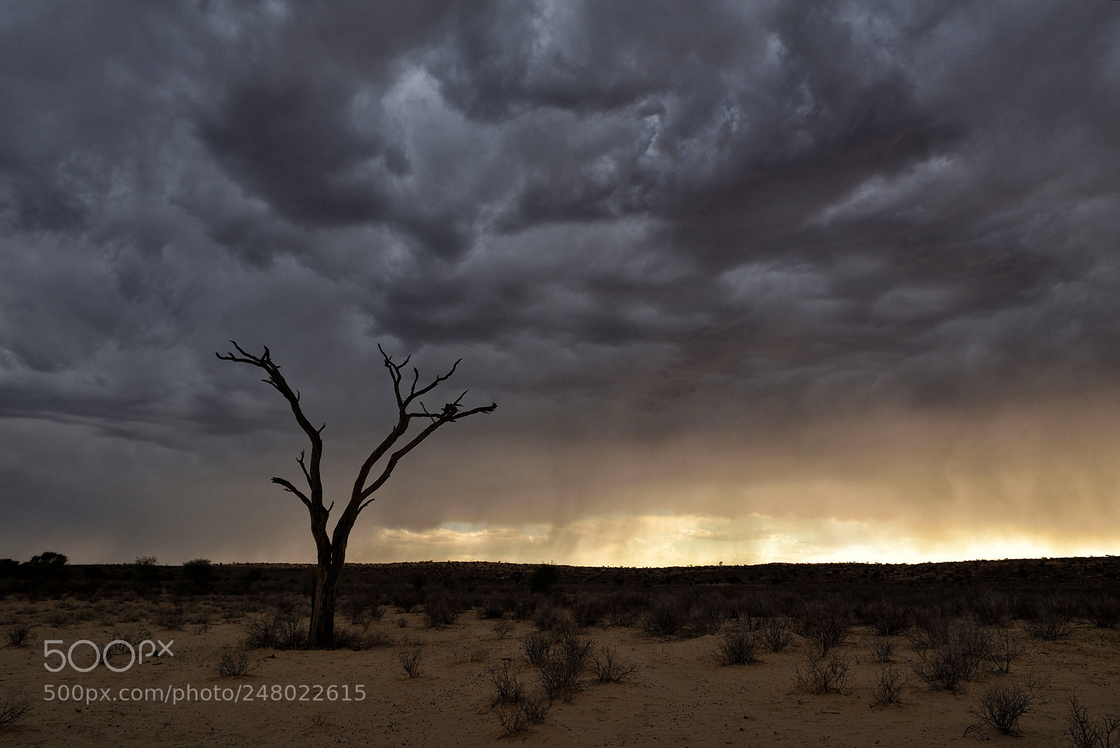 Nikon D750 sample photo. Kalahari thunderstorm photography