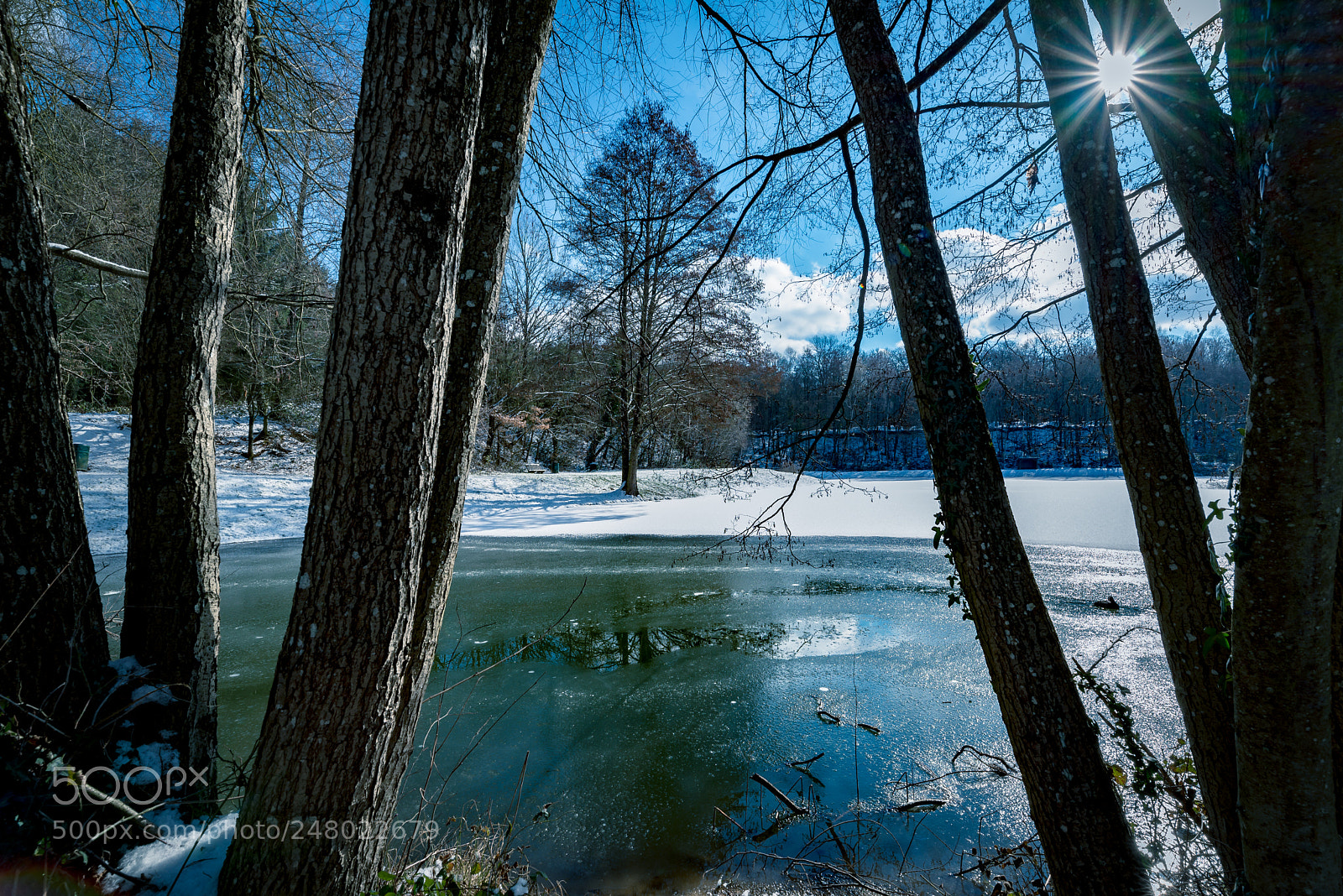 Nikon D610 sample photo. Untitled photography