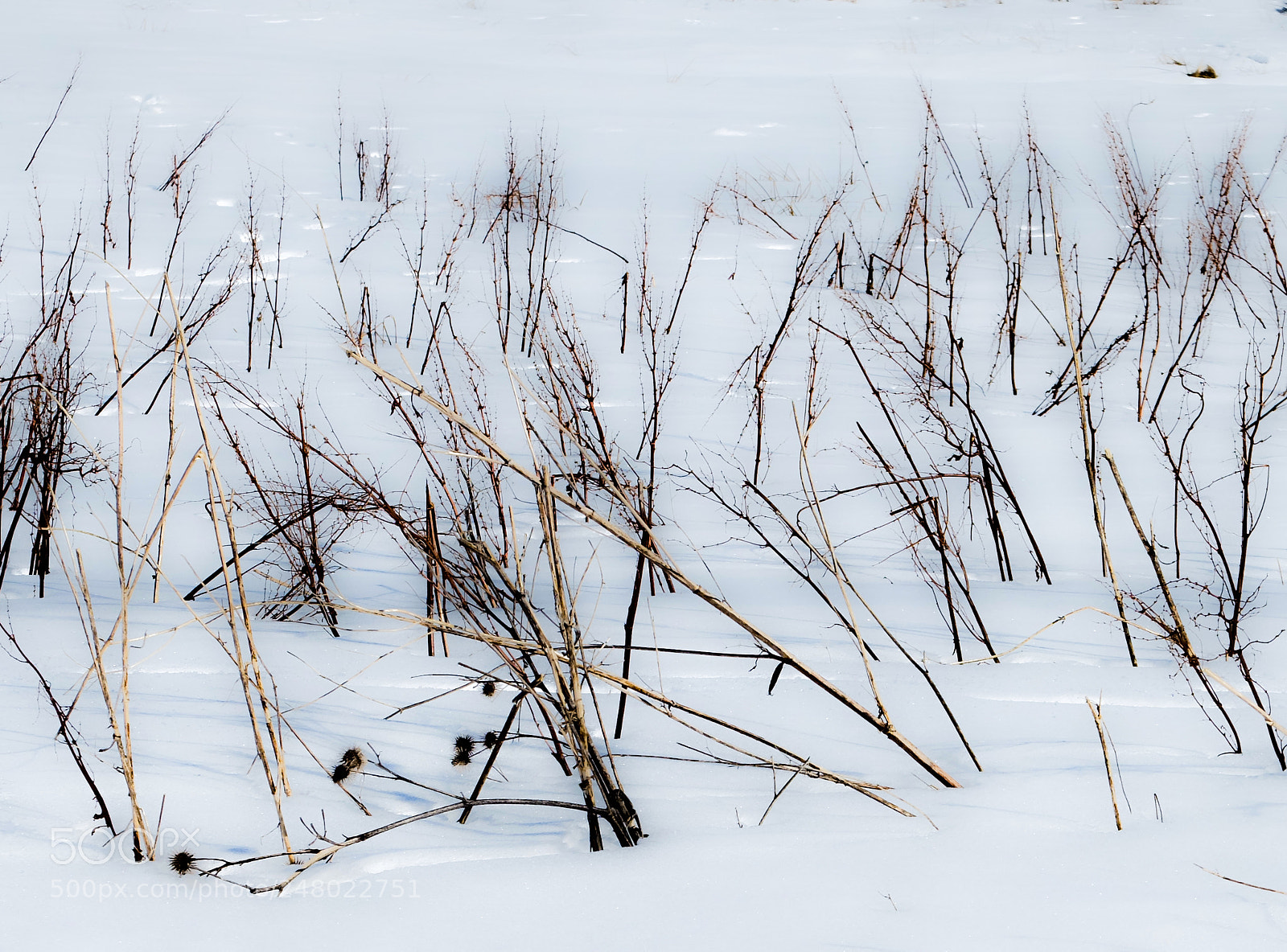 Fujifilm X20 sample photo. Snow photography