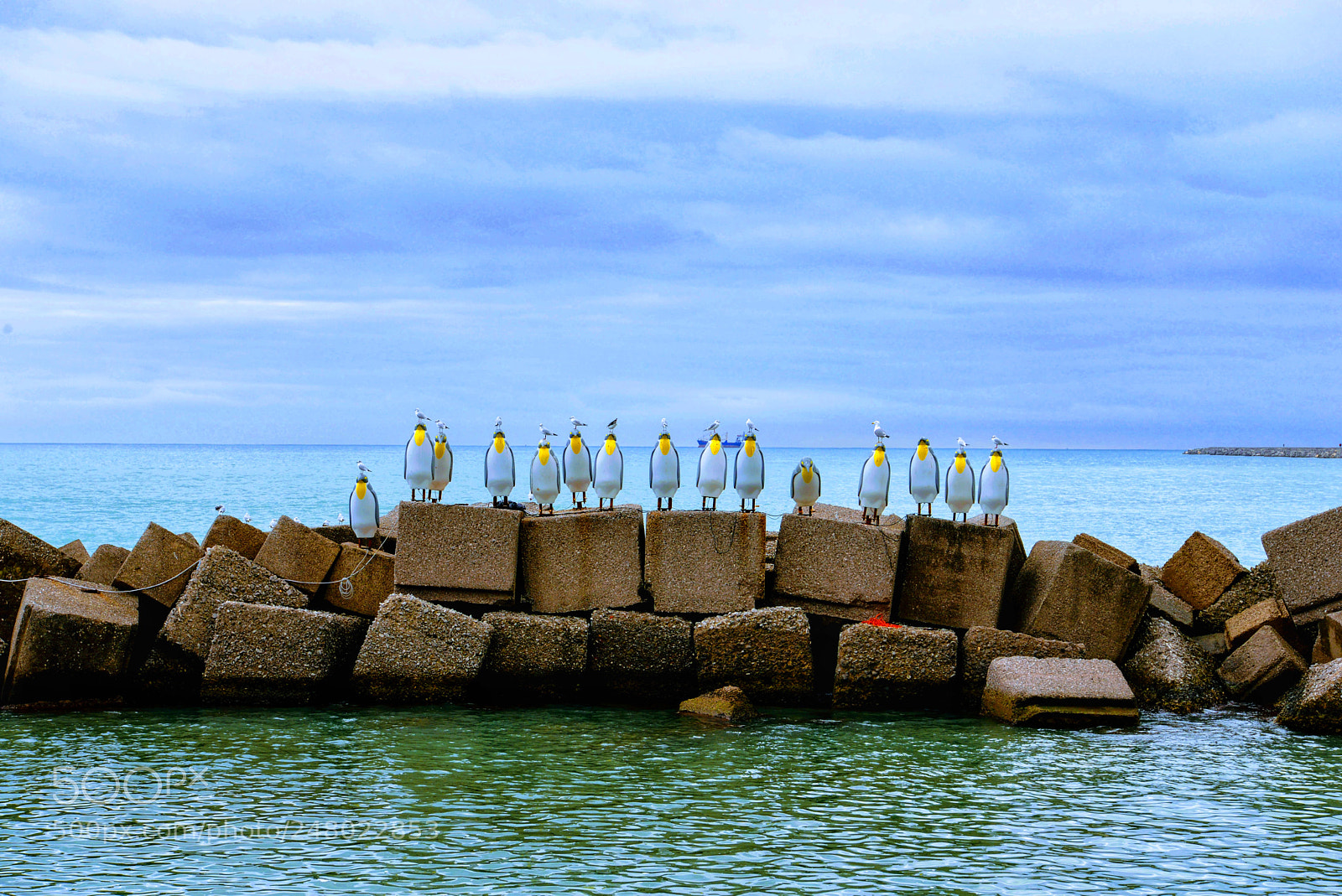 Nikon D610 sample photo. Welcome seagulls ❤ photography