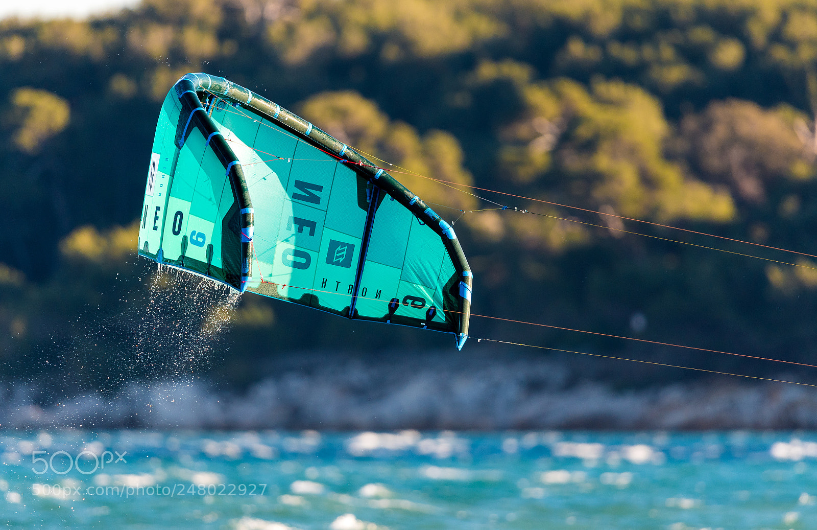 Nikon D500 sample photo. Kite wing photography