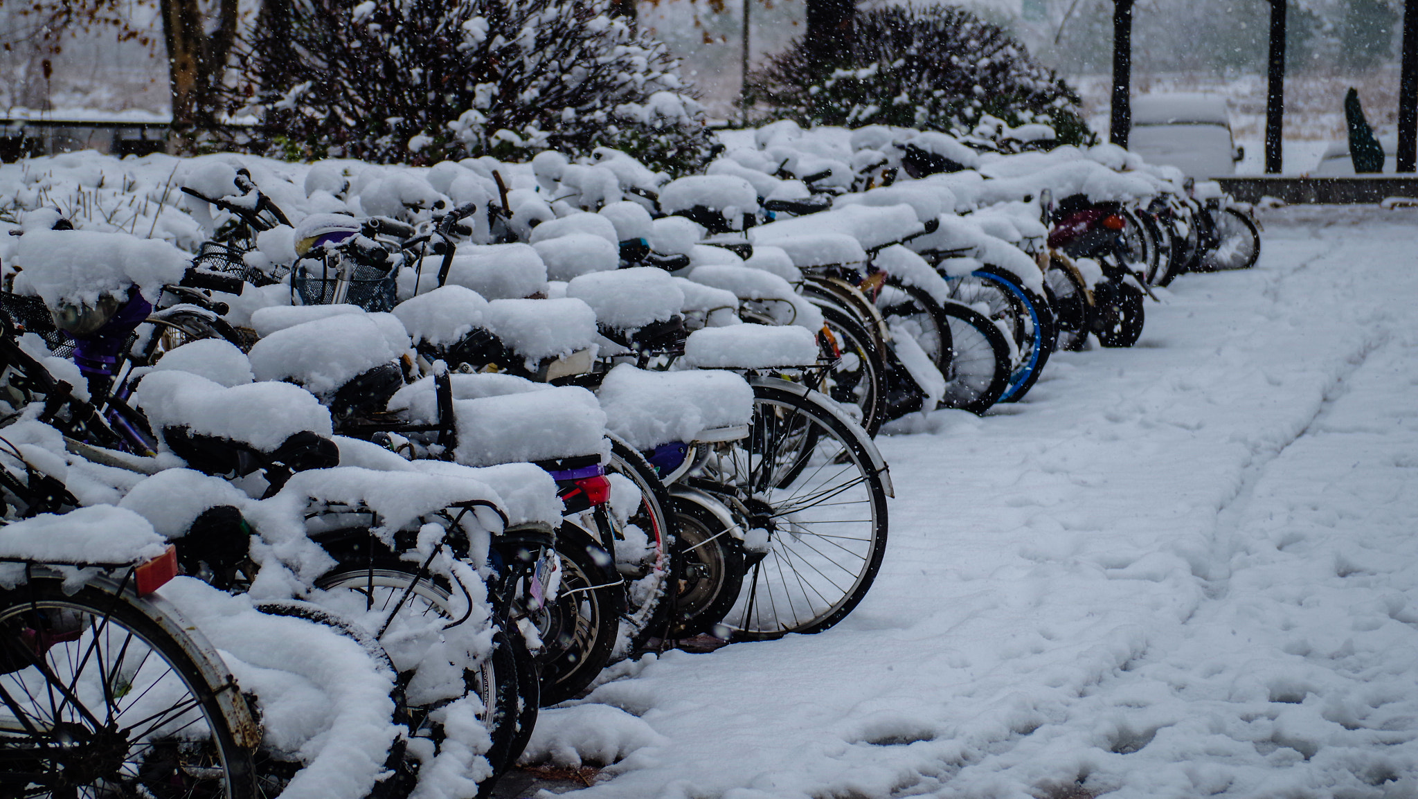 Pentax K-01 sample photo. Snow photography