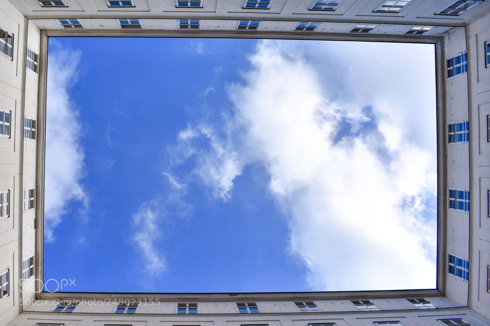 Nikon D3400 sample photo. Look up! photography