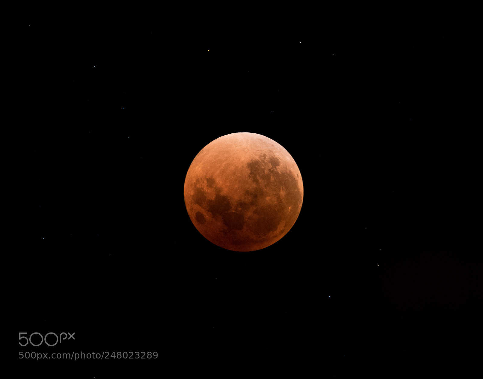 Nikon D810 sample photo. Untitled photography