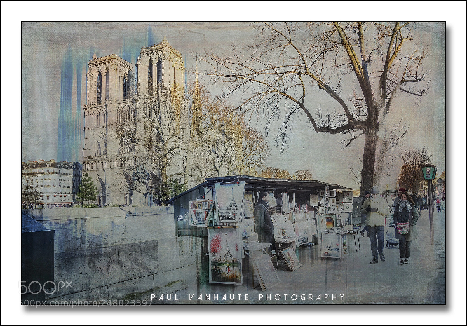 Nikon D610 sample photo. Fff photography