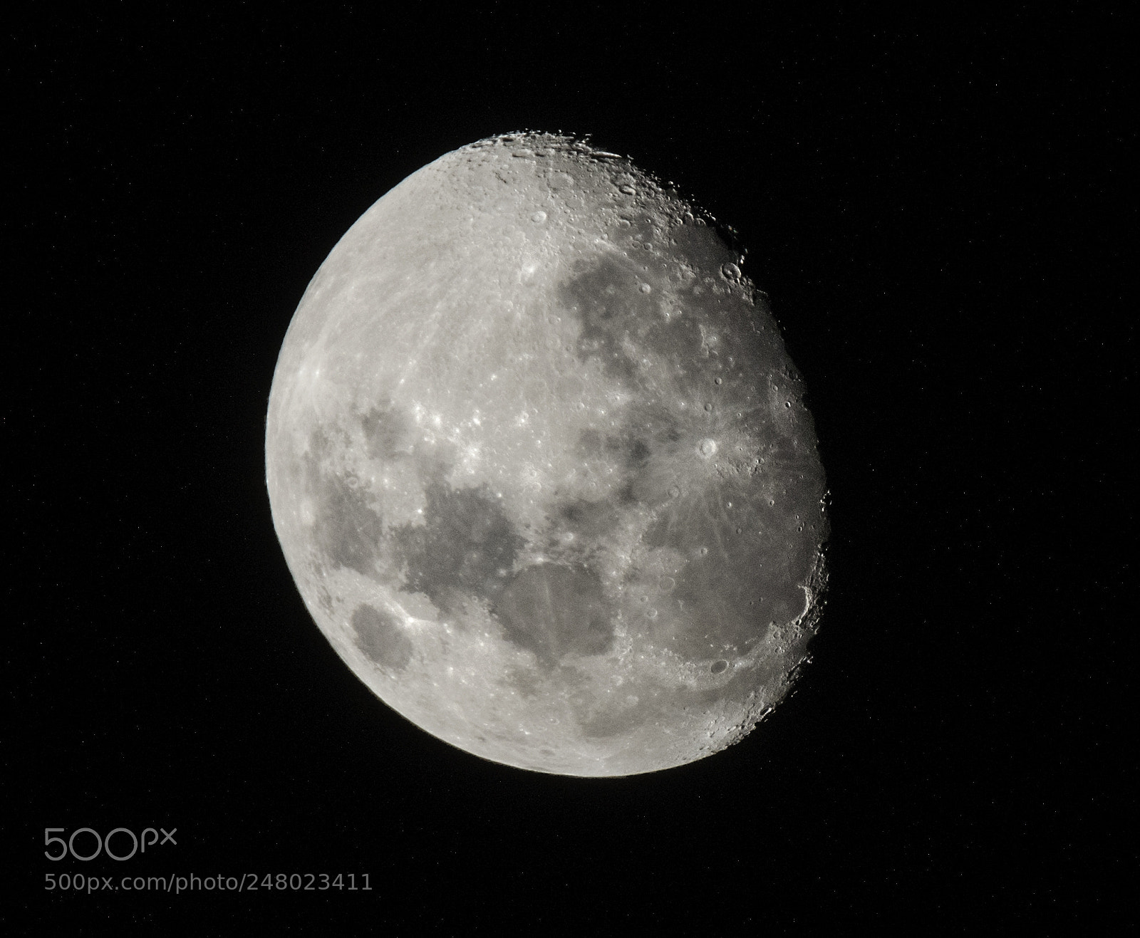 Nikon D810 sample photo. Untitled photography