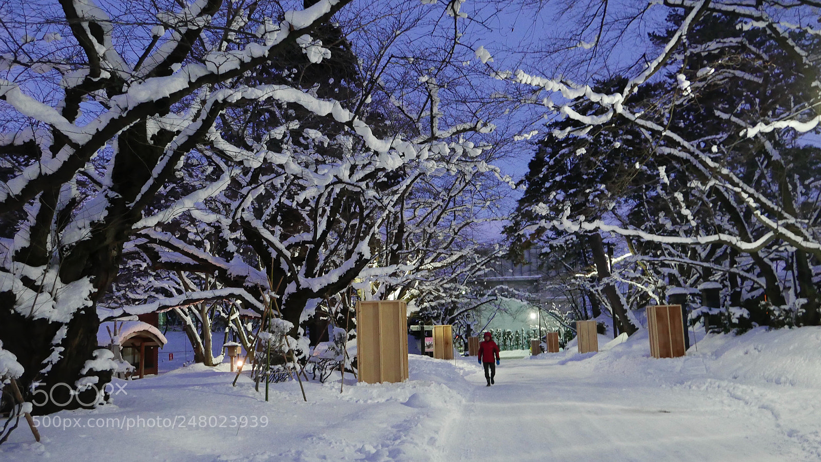 Leica D-Lux (Typ 109) sample photo. 冬雪。。。 photography