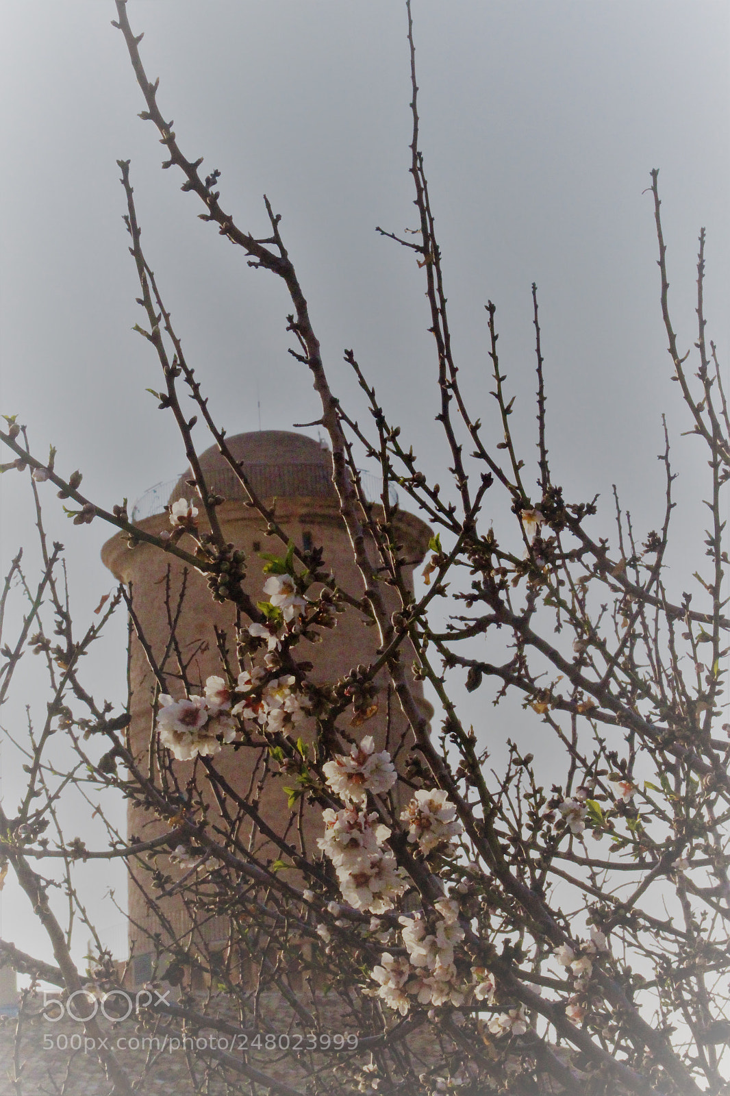 Canon EOS 700D (EOS Rebel T5i / EOS Kiss X7i) sample photo. To the right... you photography