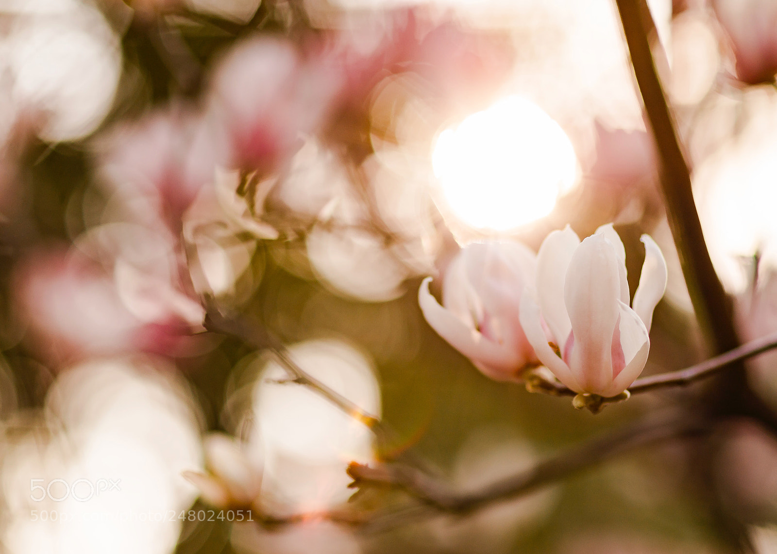 Canon EOS 6D Mark II sample photo. 光影 photography
