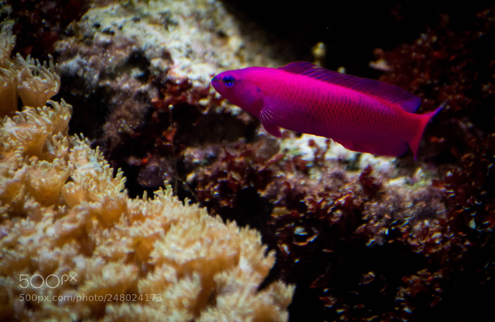 Nikon D7200 sample photo. Highly visible photography