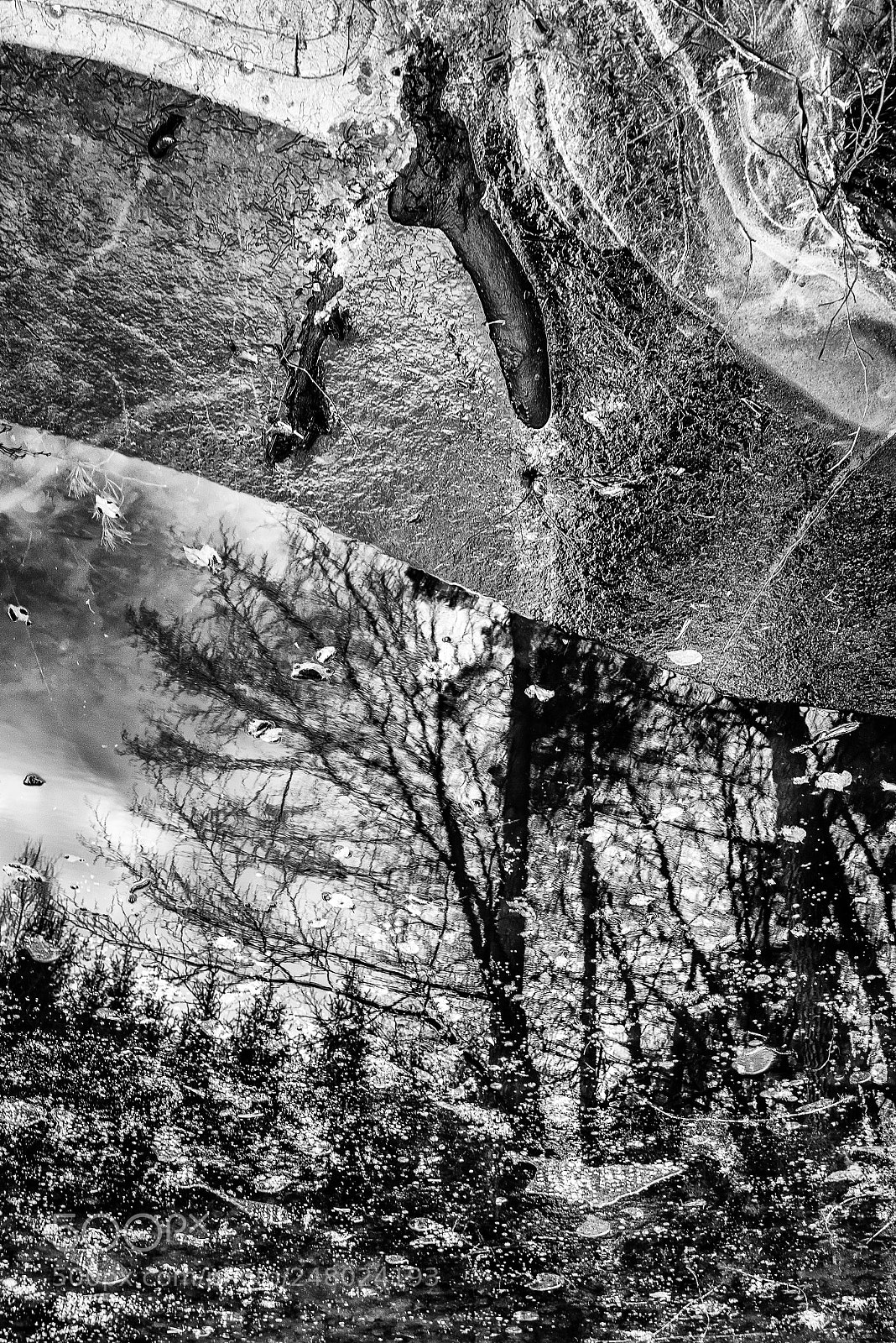 Nikon D810 sample photo. Mirroring photography