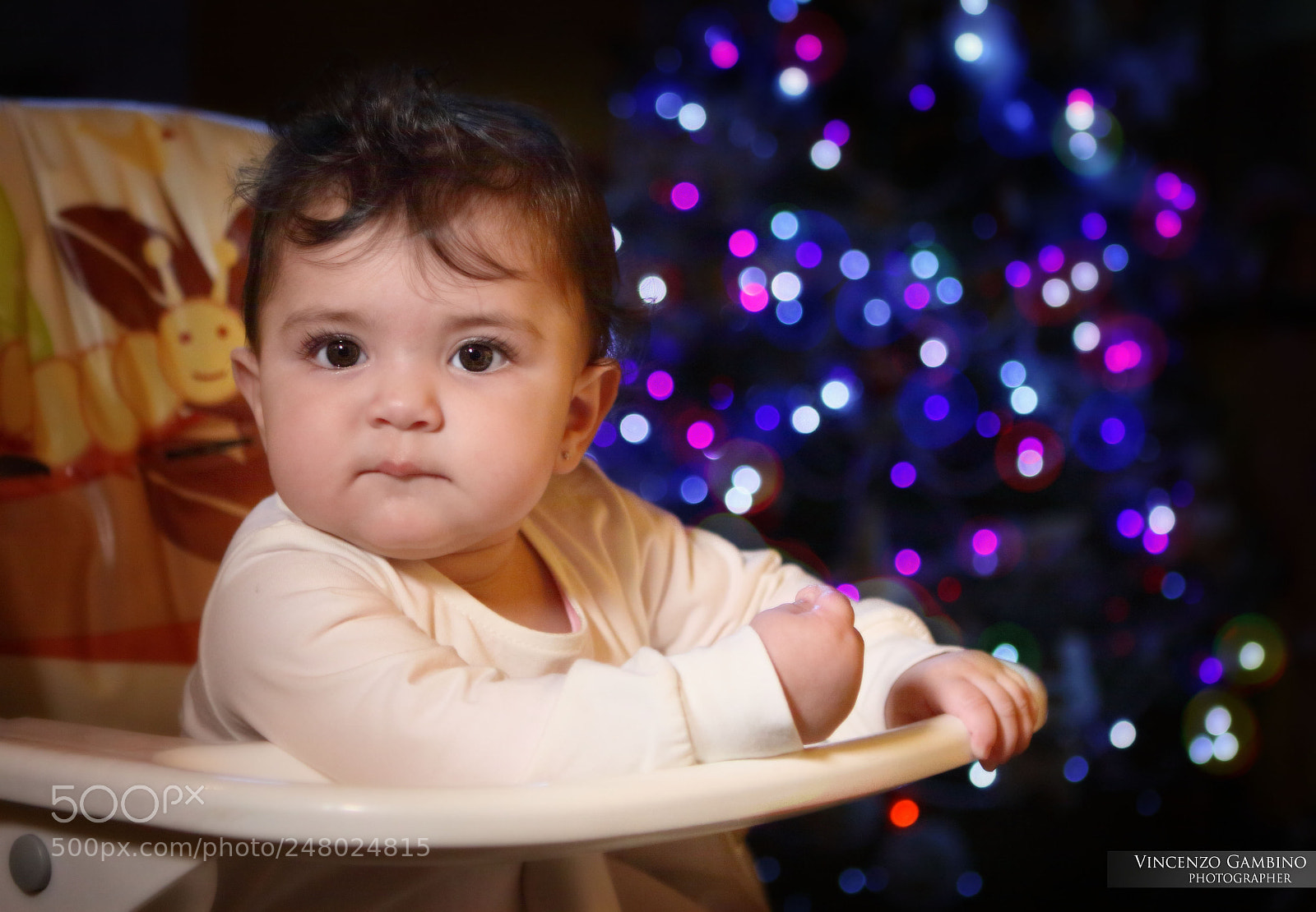 Canon EOS 50D sample photo. Untitled photography