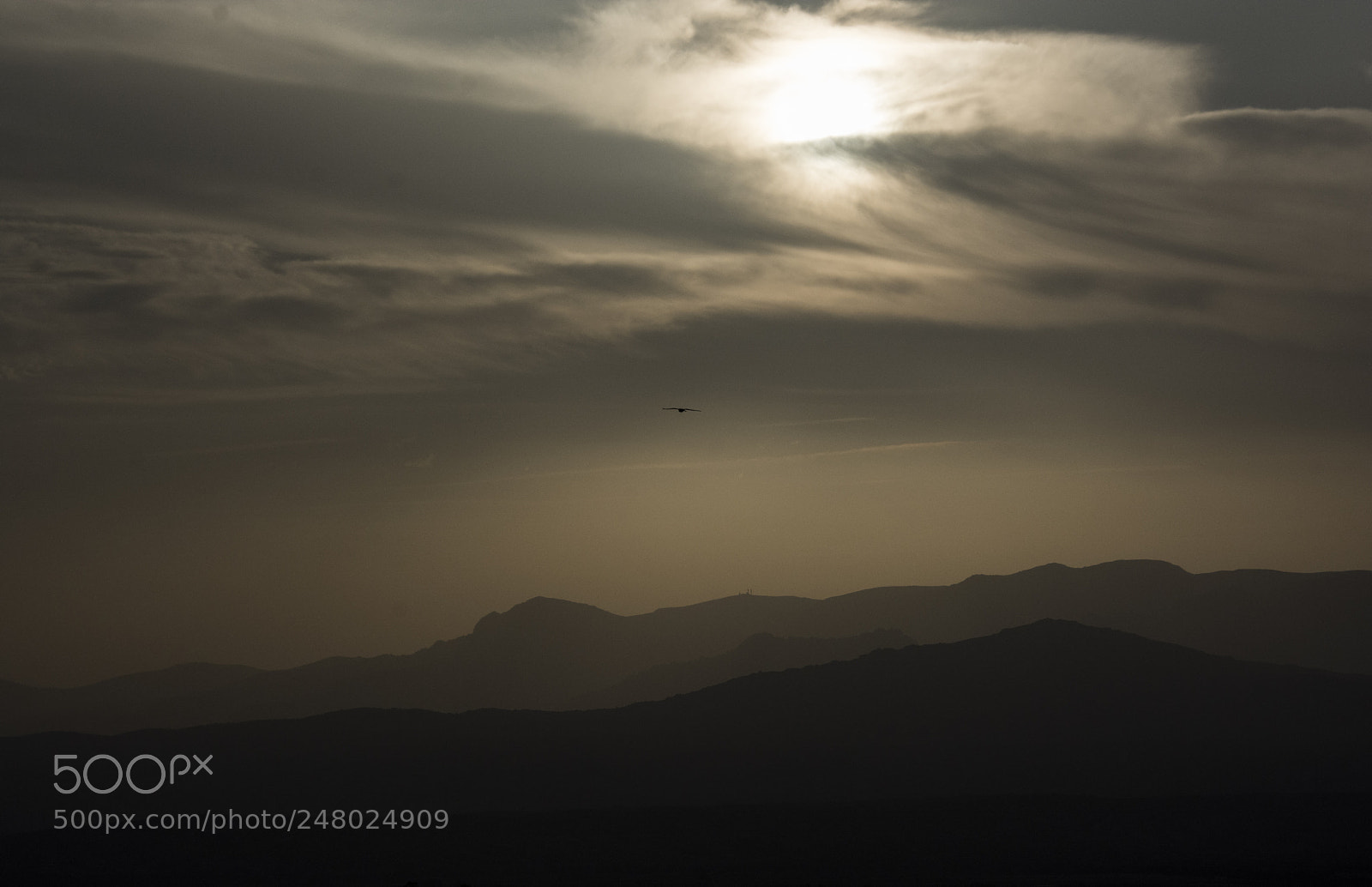 Nikon D7100 sample photo. º photography