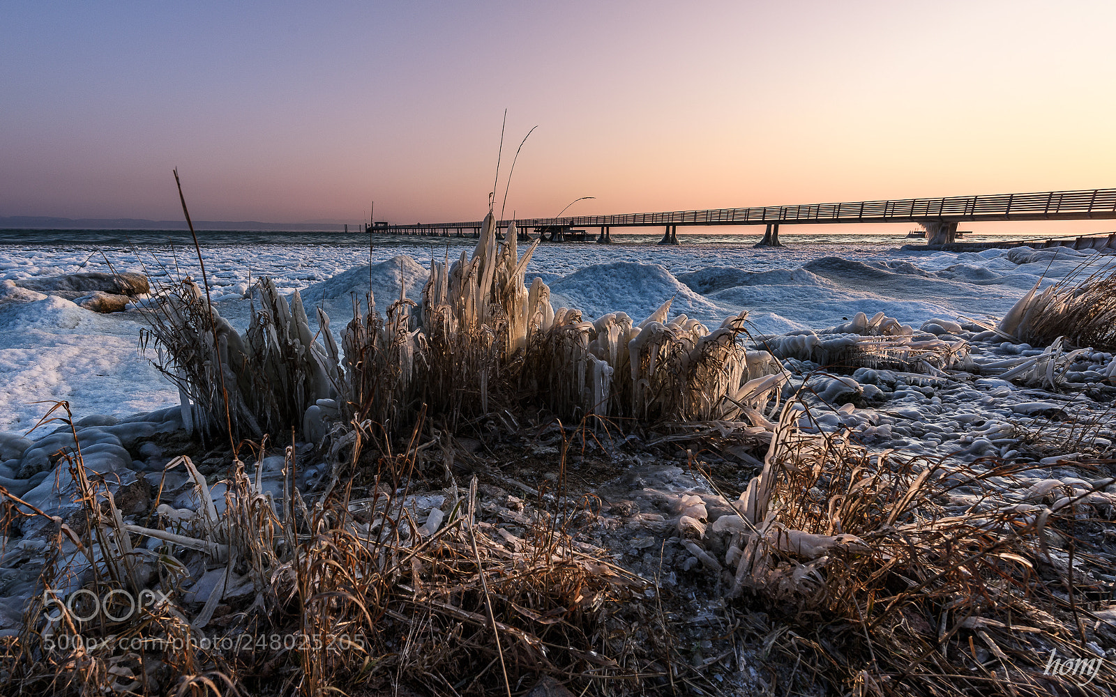 Nikon D810 sample photo. "first sunrays" photography
