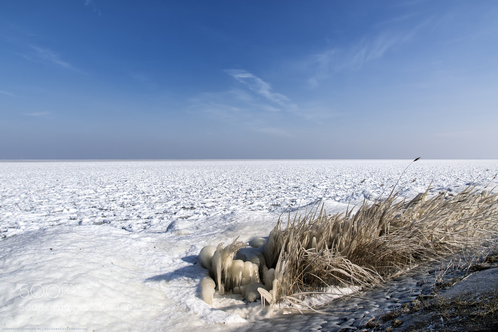 Nikon D7200 sample photo. Frozen reed at the photography