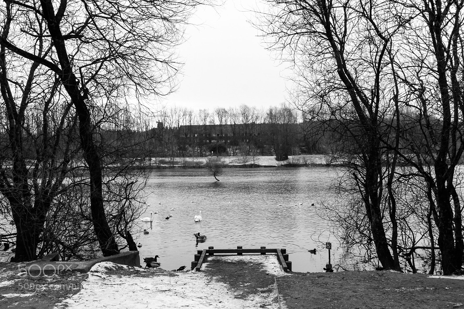Canon EOS 20D sample photo. Lakeside photography