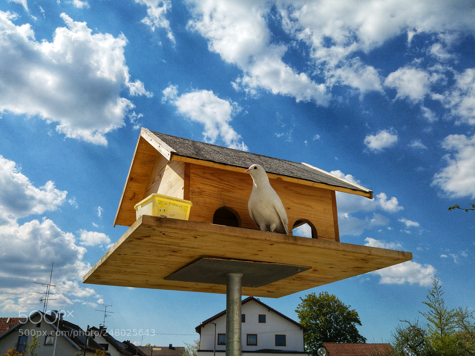 LG G4 sample photo. Nesting box photography