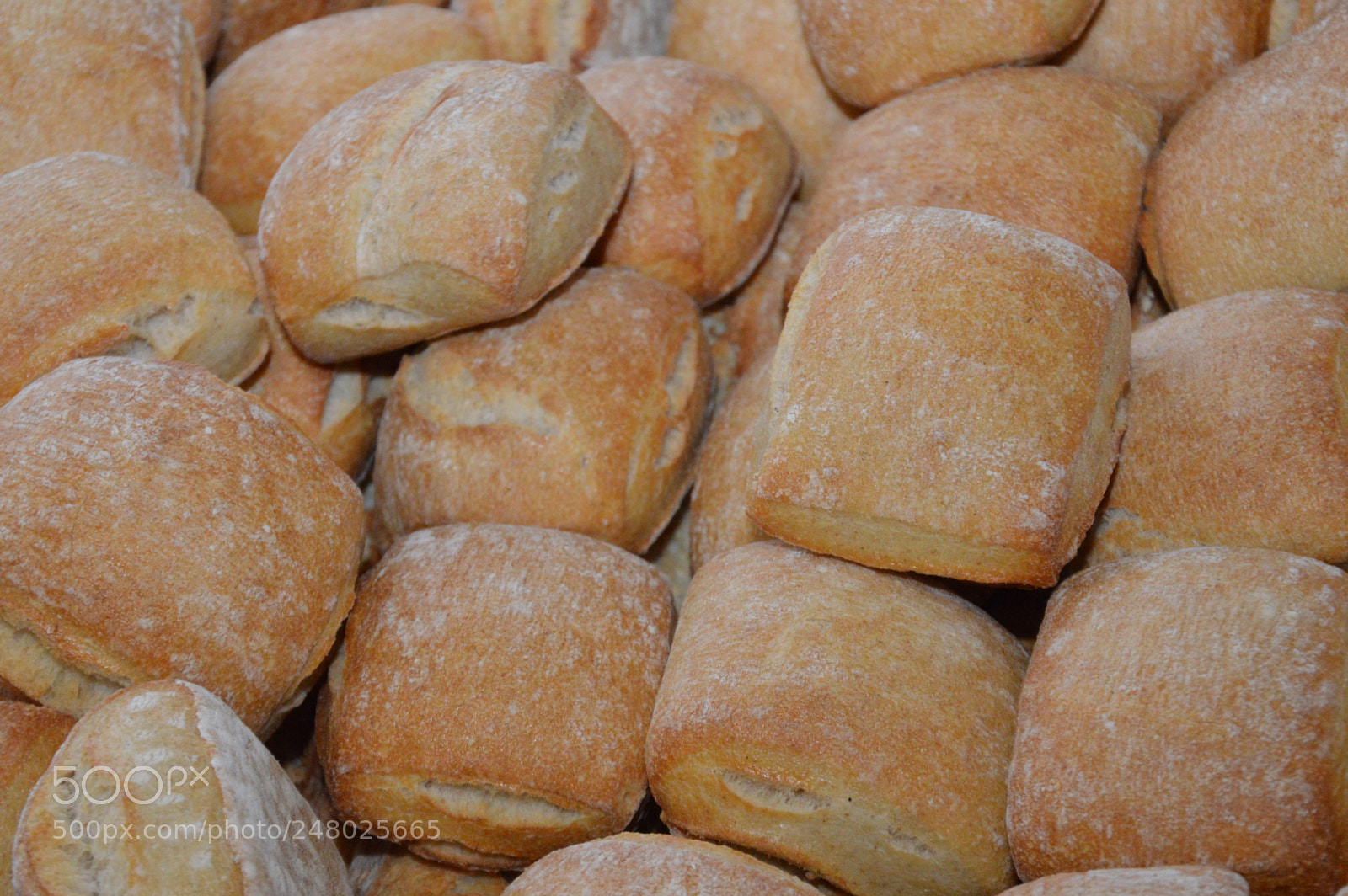 Nikon D3200 sample photo. Zoom on a filled photography