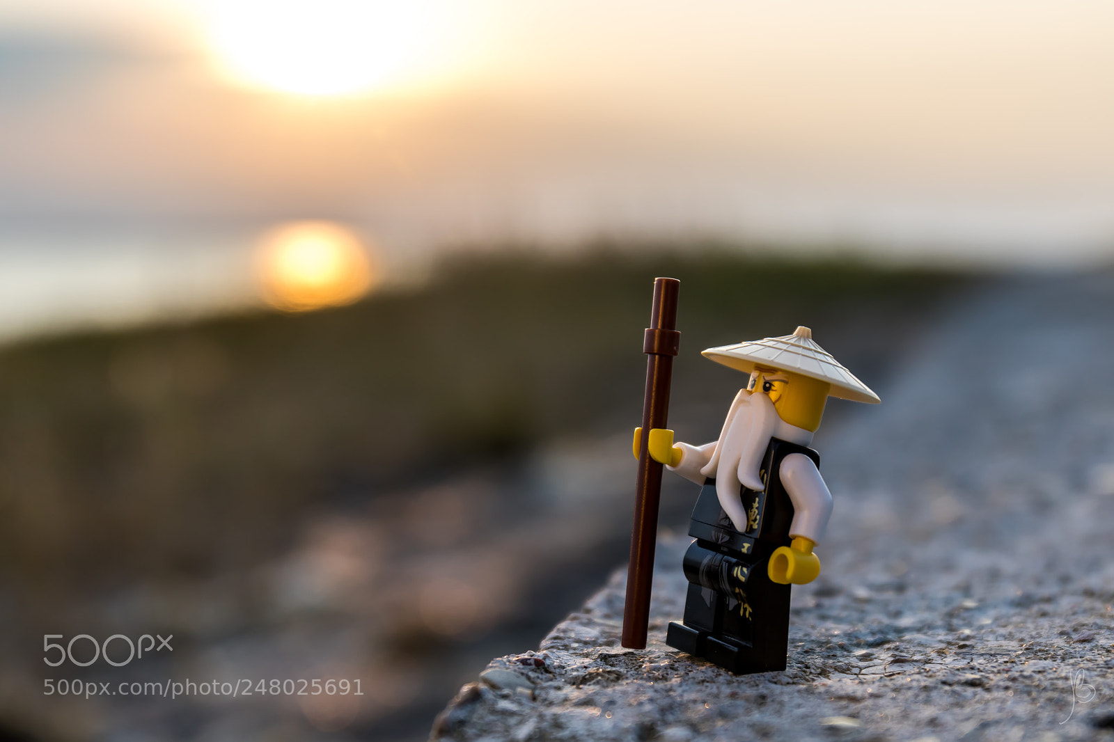 Canon EOS 7D Mark II sample photo. Zen master photography