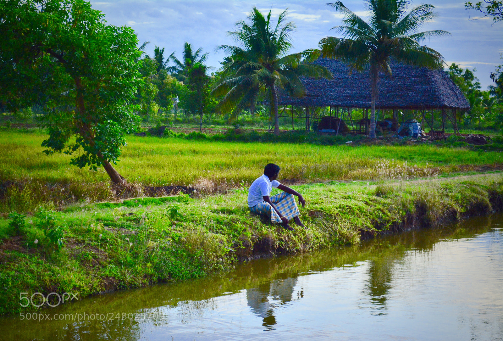 Nikon D5200 sample photo. Village guy photography