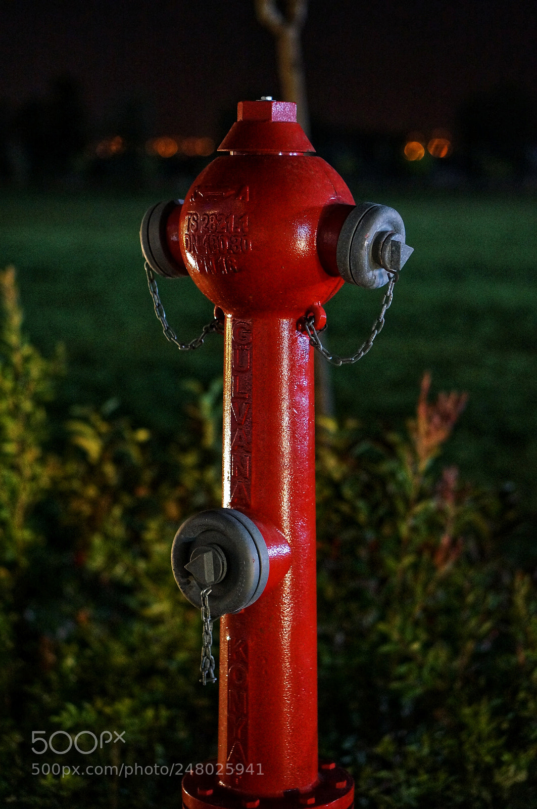 Sony Alpha NEX-5R sample photo. Red hydrant photography