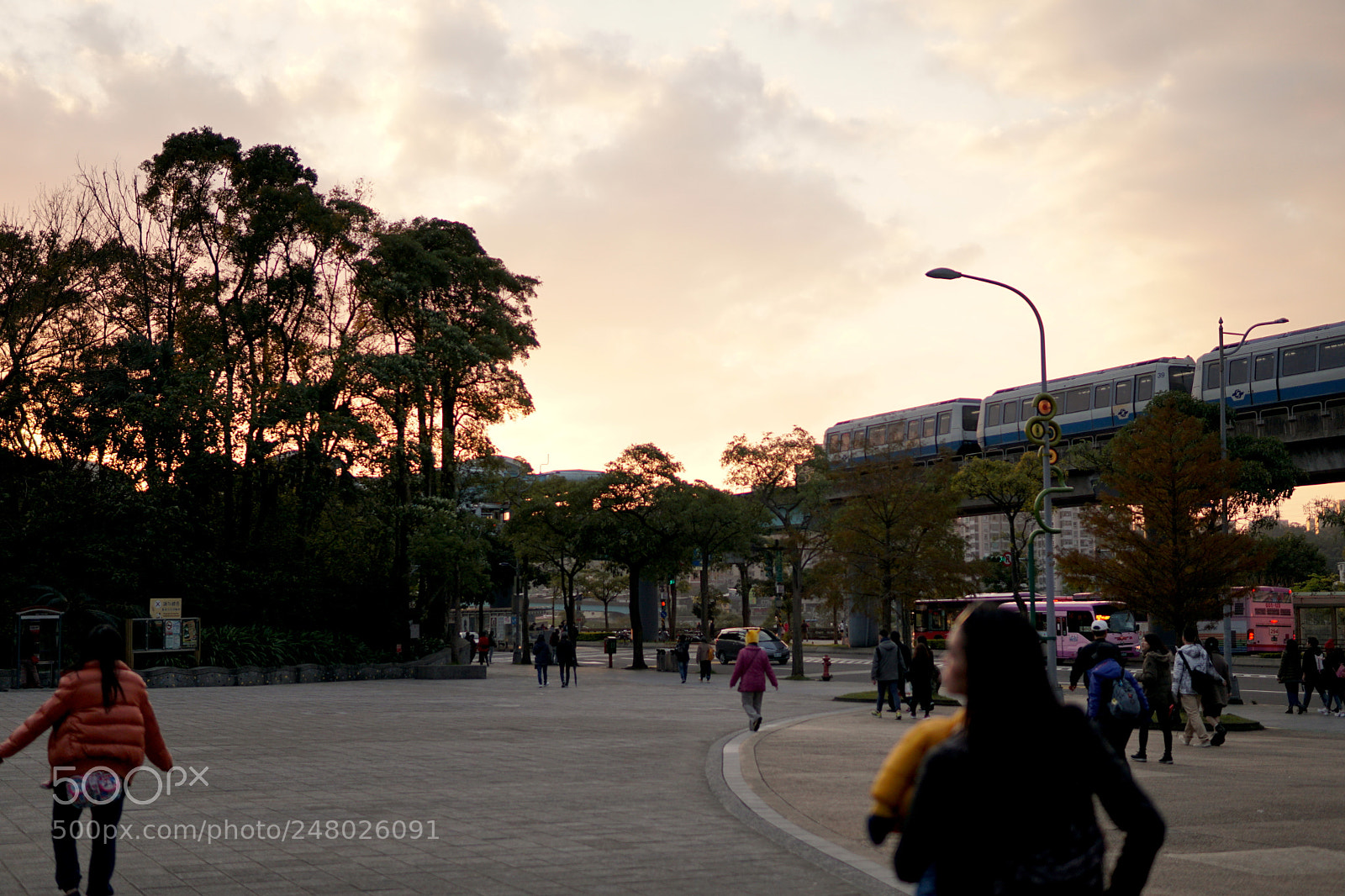Sony a6300 sample photo. * * * kekasih matahari photography