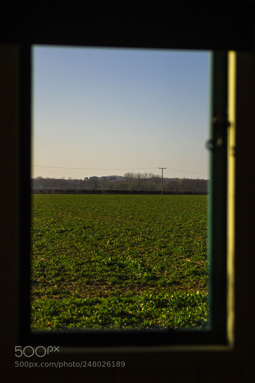 Canon EOS 600D (Rebel EOS T3i / EOS Kiss X5) sample photo. Through the window photography