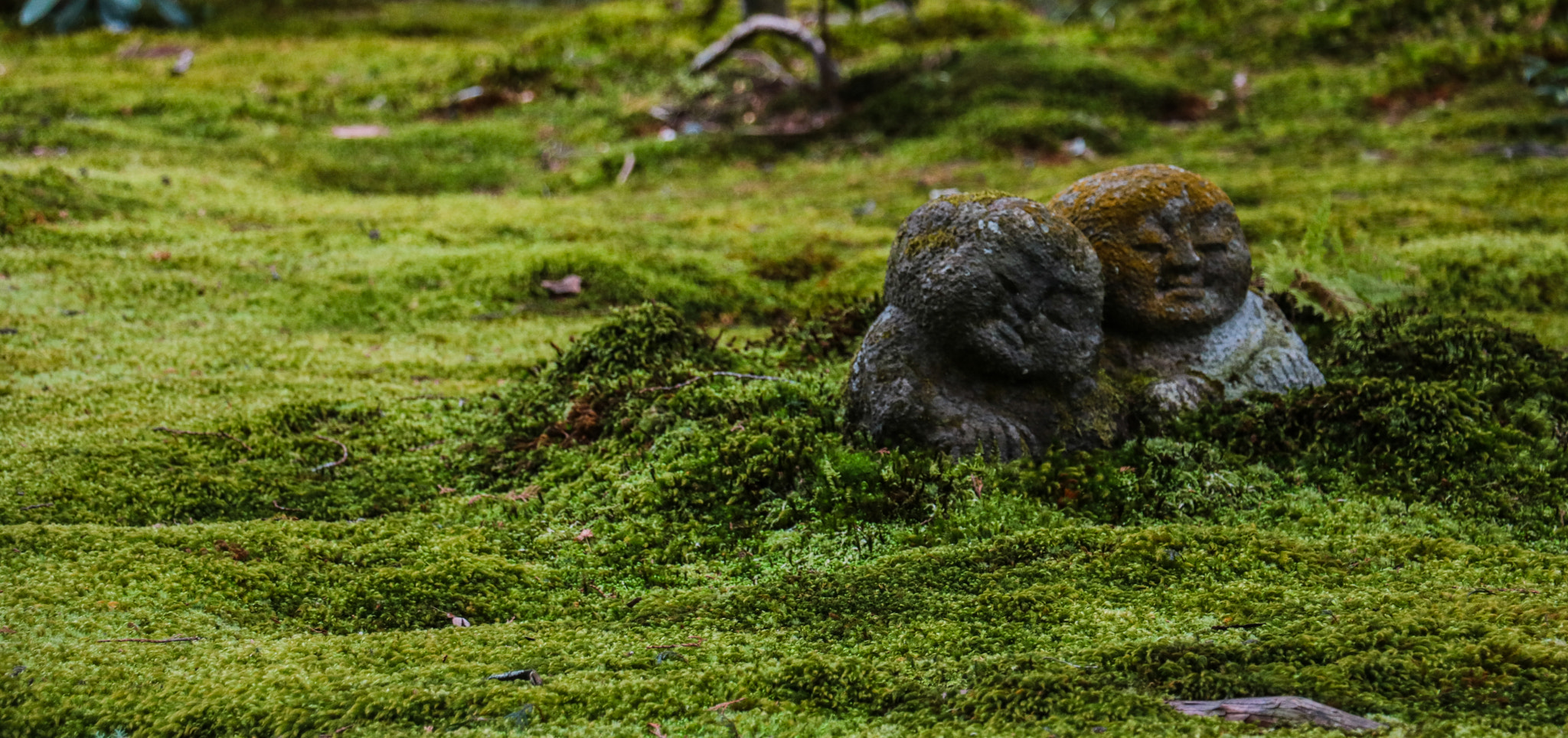 Canon EOS 760D (EOS Rebel T6s / EOS 8000D) sample photo. The buddha in the moss photography