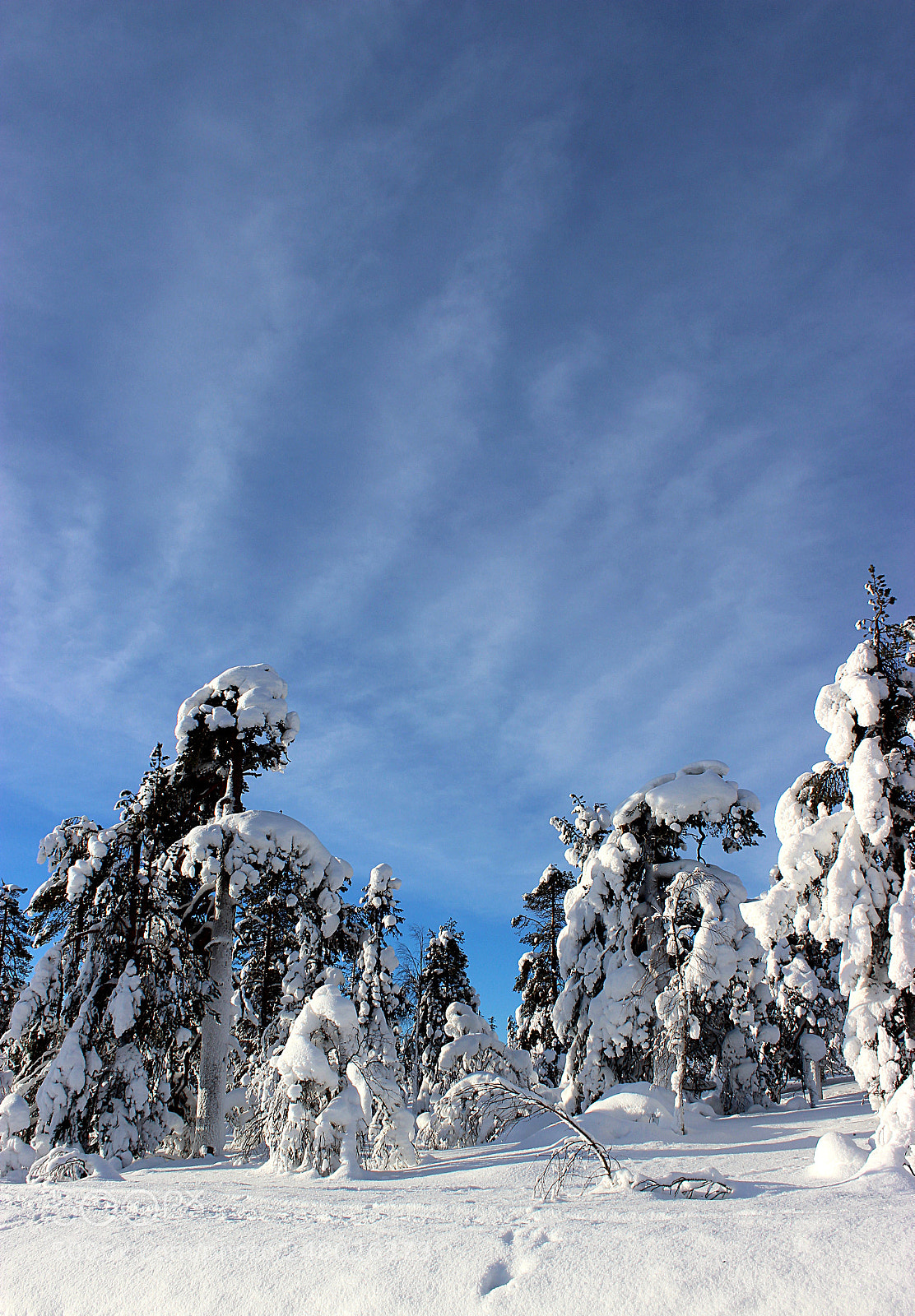 Canon EOS 600D (Rebel EOS T3i / EOS Kiss X5) sample photo. Winter photography