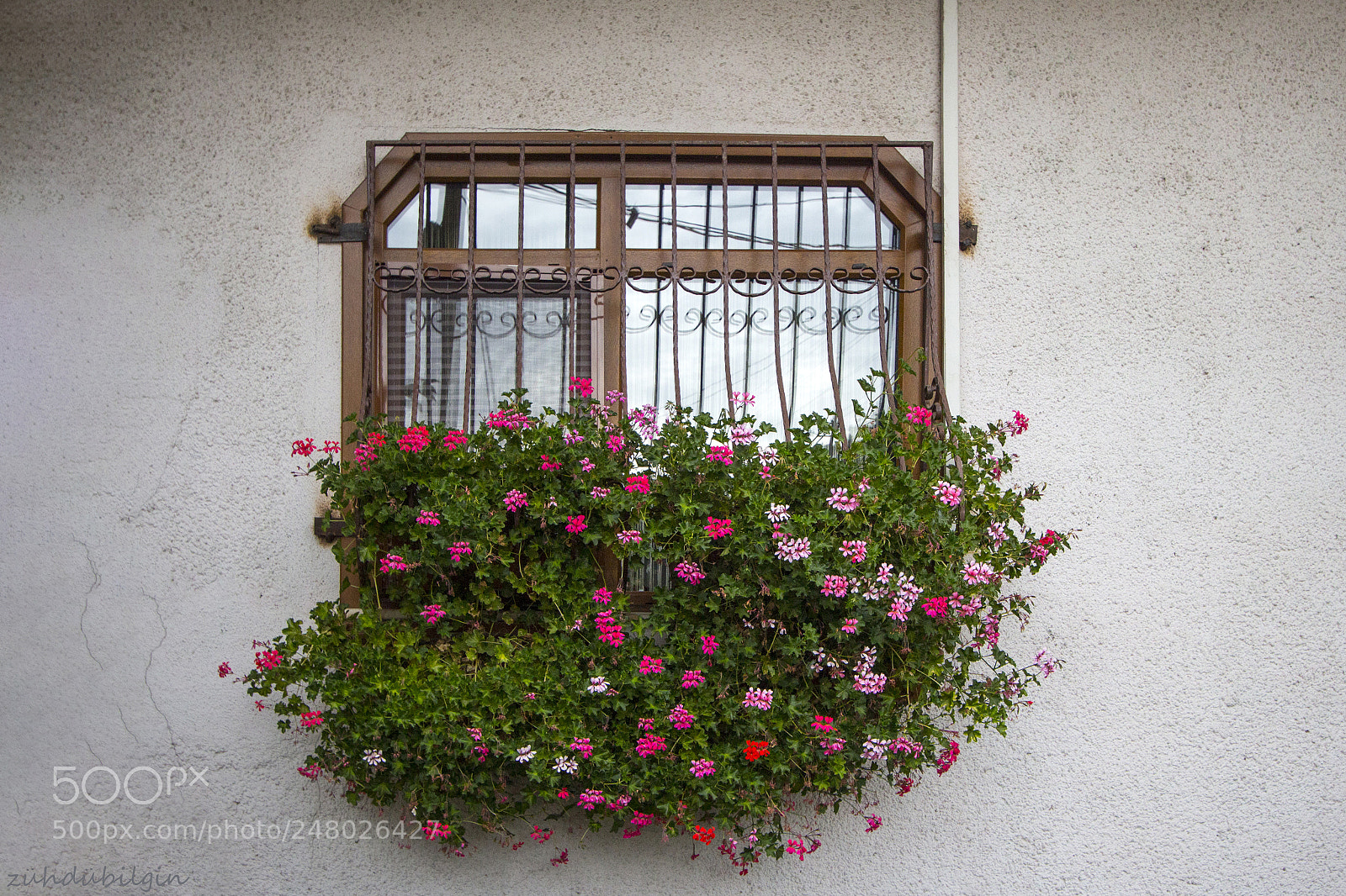 Canon EOS 650D (EOS Rebel T4i / EOS Kiss X6i) sample photo. Gush photography