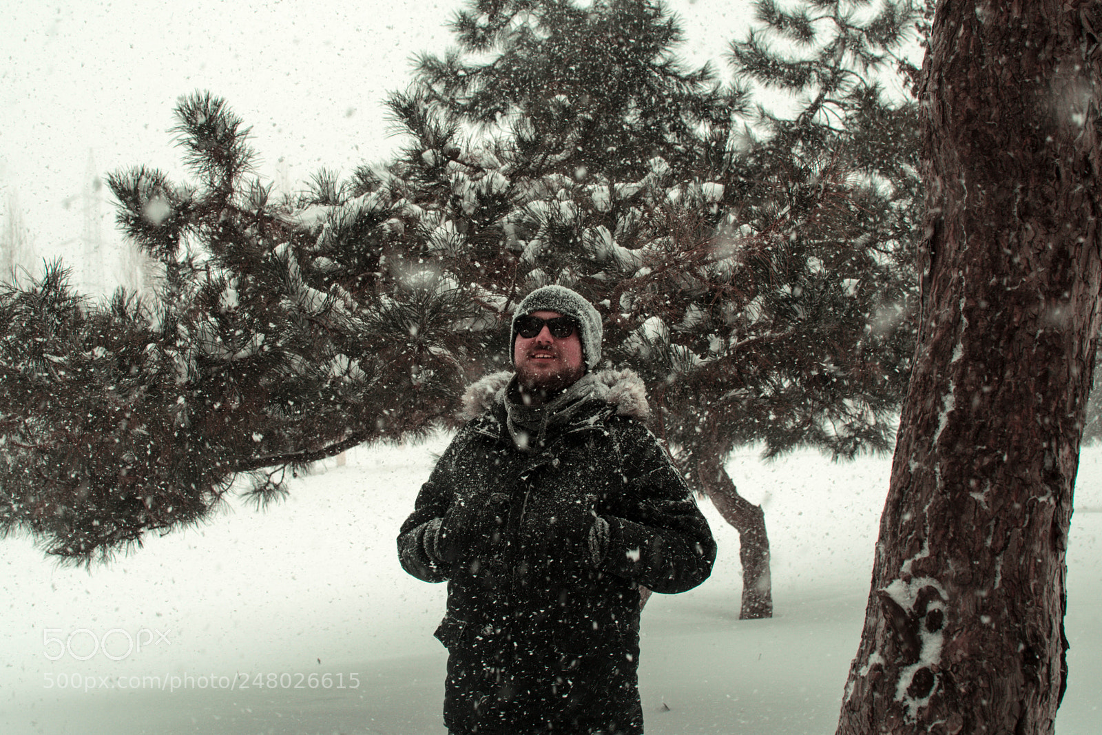 Nikon D5200 sample photo. Snow in february photography