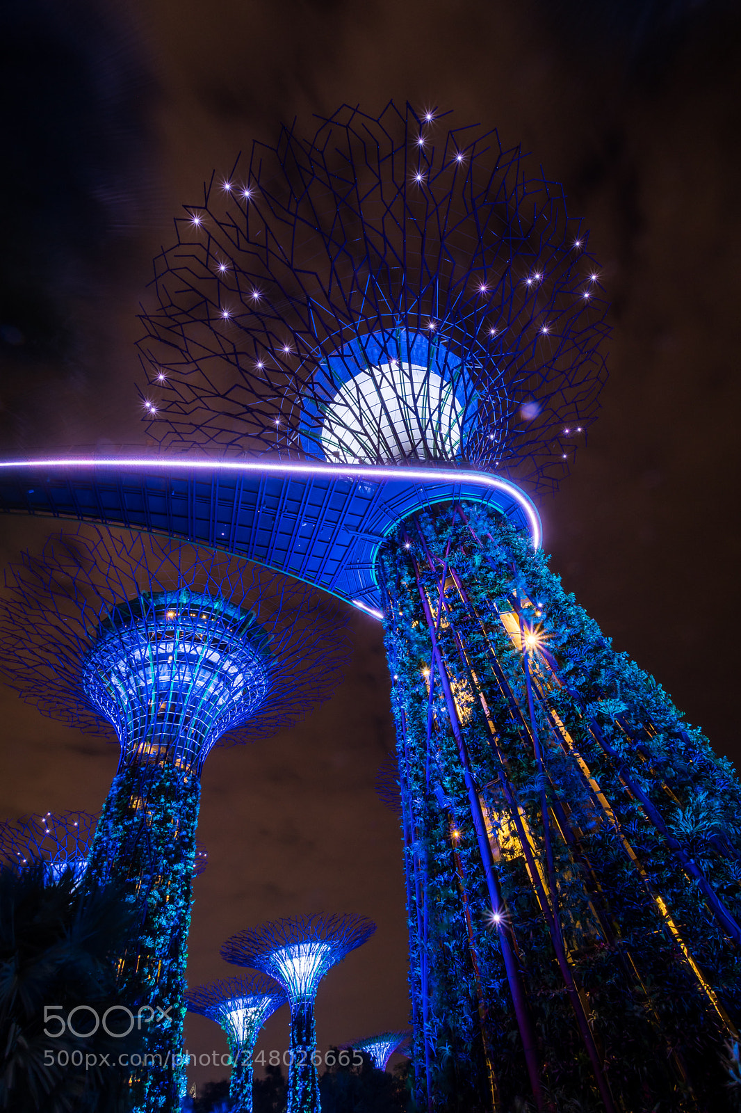 Nikon D500 sample photo. Gardens by the bay photography