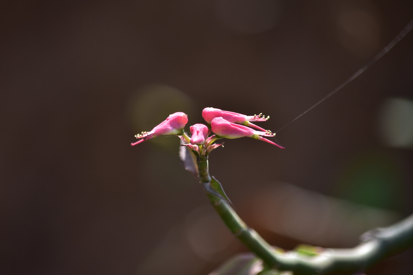 Nikon D3400 sample photo