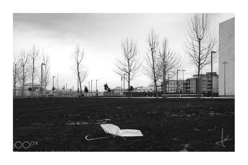 Fujifilm X70 sample photo. Wind photography