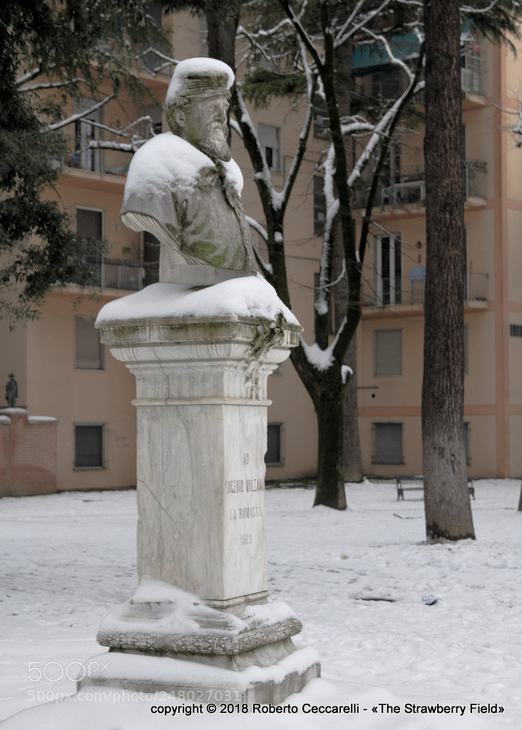 Panasonic Lumix DMC-LX100 sample photo. Neve 2018 a cesena photography