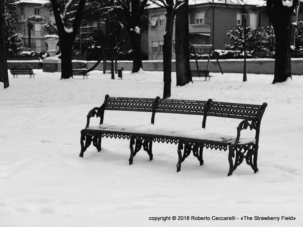Panasonic Lumix DMC-LX100 sample photo. Neve 2018 a cesena photography