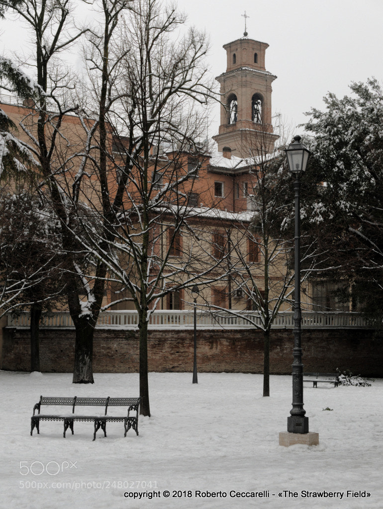 Panasonic Lumix DMC-LX100 sample photo. Neve 2018 a cesena photography