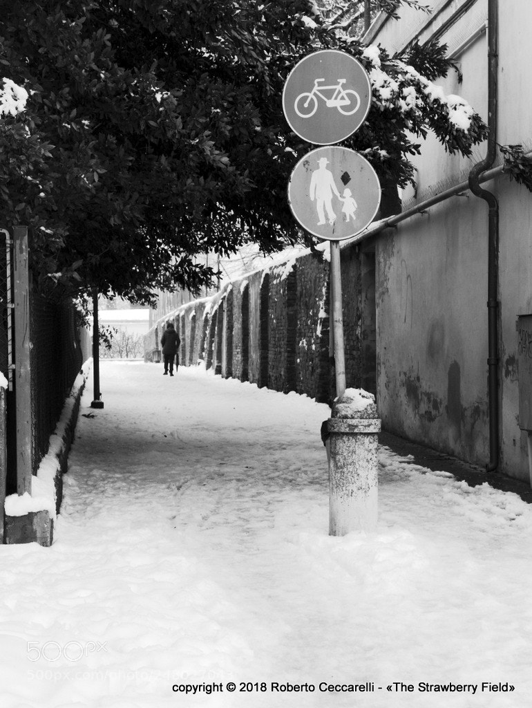 Panasonic Lumix DMC-LX100 sample photo. Neve 2018 a cesena photography