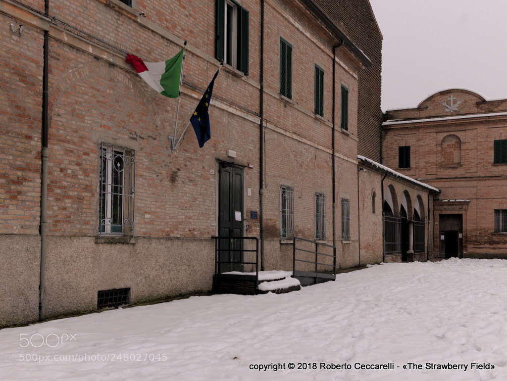 Panasonic Lumix DMC-LX100 sample photo. Neve 2018 a cesena photography