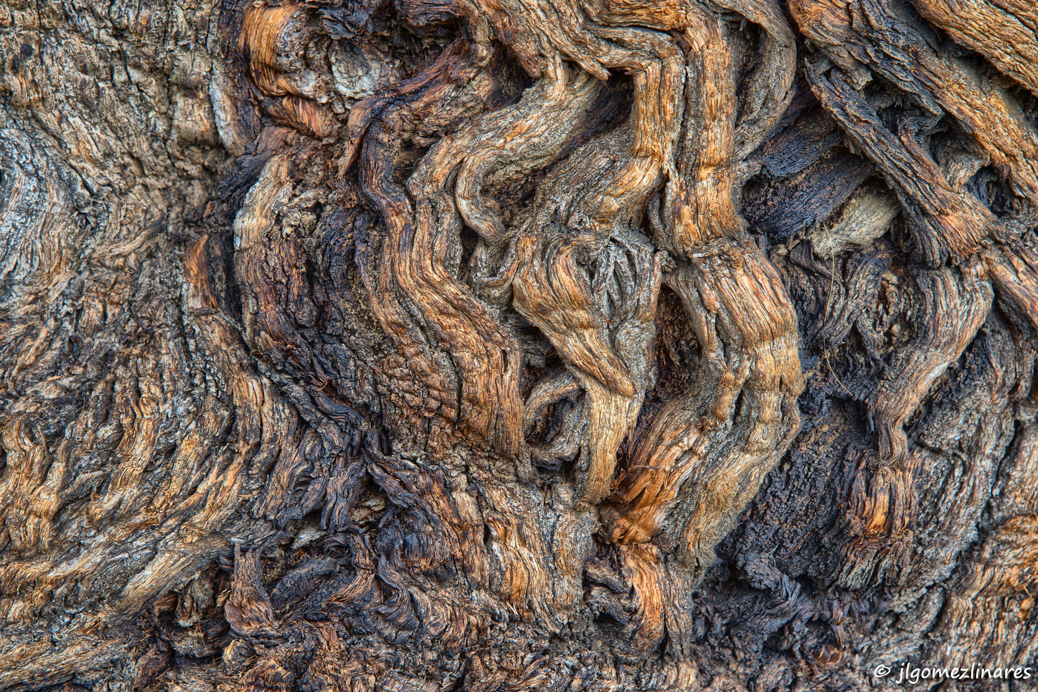 Nikon AF-S Nikkor 24-120mm F4G ED VR sample photo. Arrugas photography