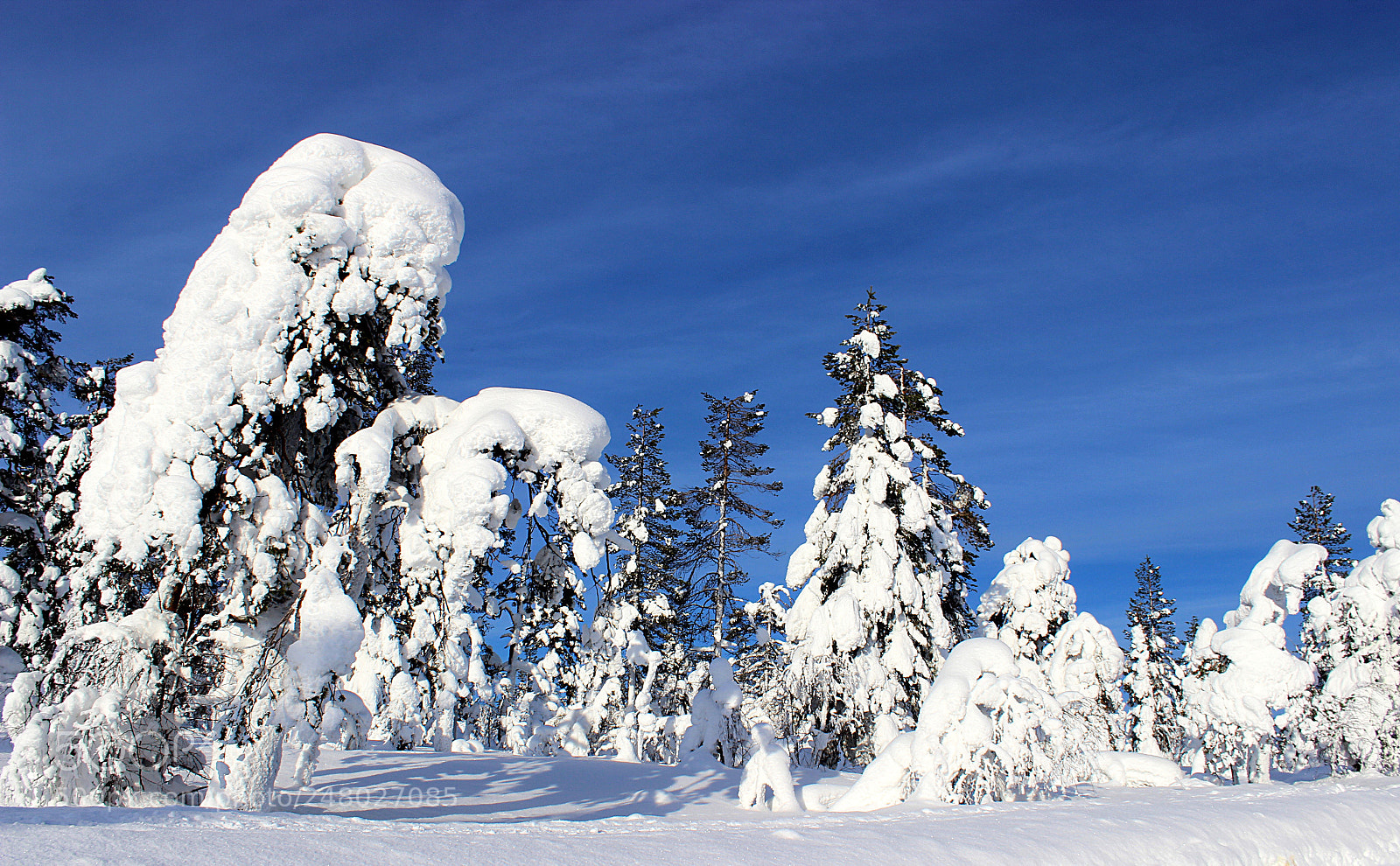 Canon EOS 600D (Rebel EOS T3i / EOS Kiss X5) sample photo. Snowy photography