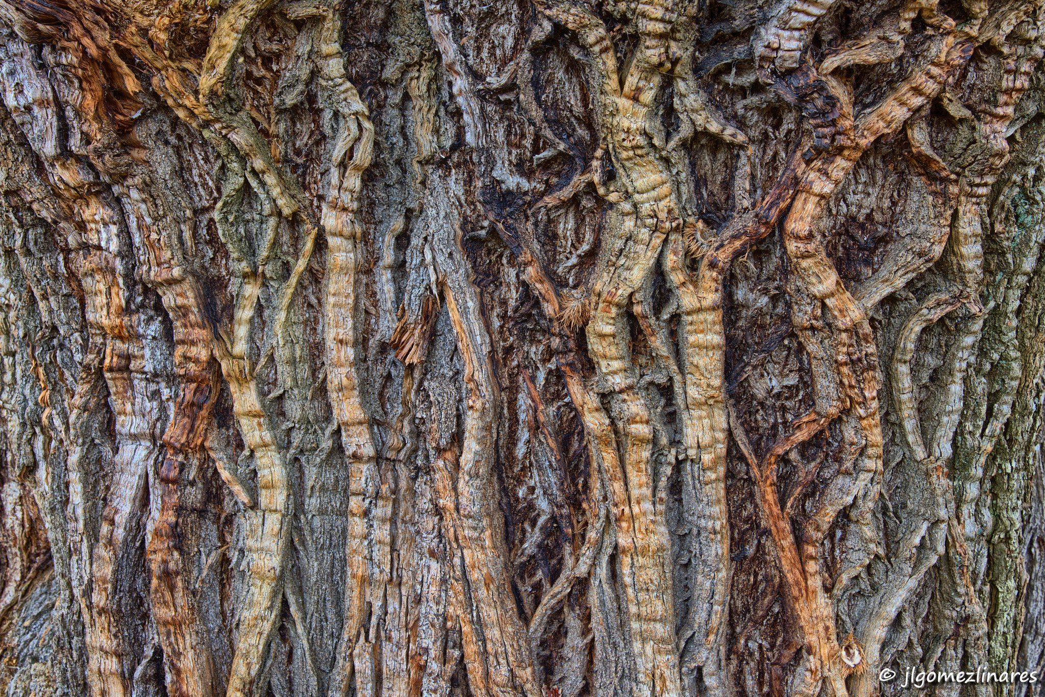 Nikon AF-S Nikkor 24-120mm F4G ED VR sample photo. Surcos photography