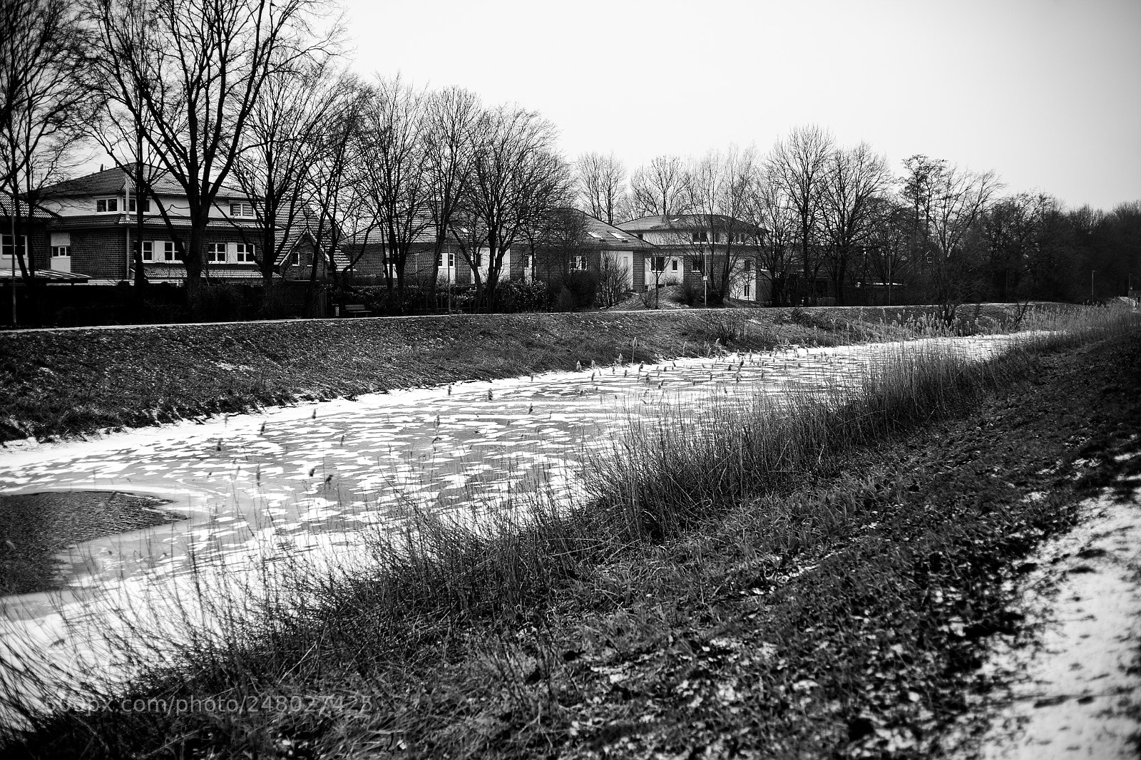 Canon EOS 5D sample photo. Frozen river photography