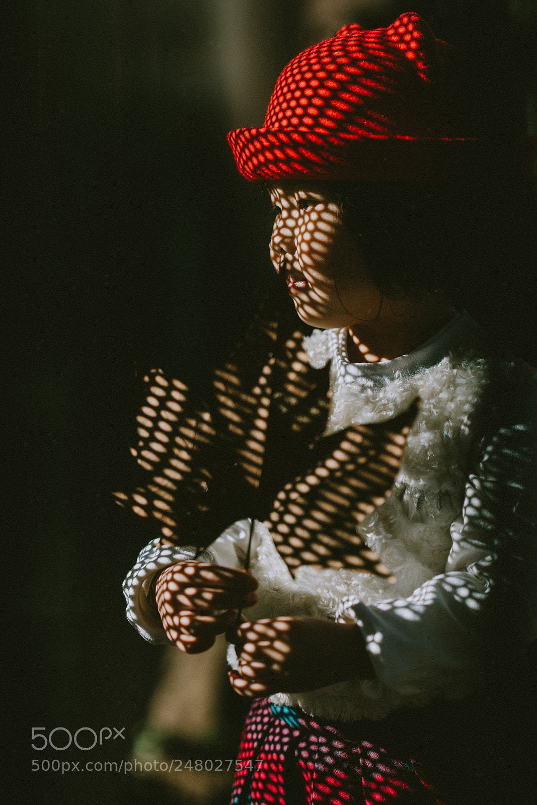 Sony a7R II sample photo. Dsc photography