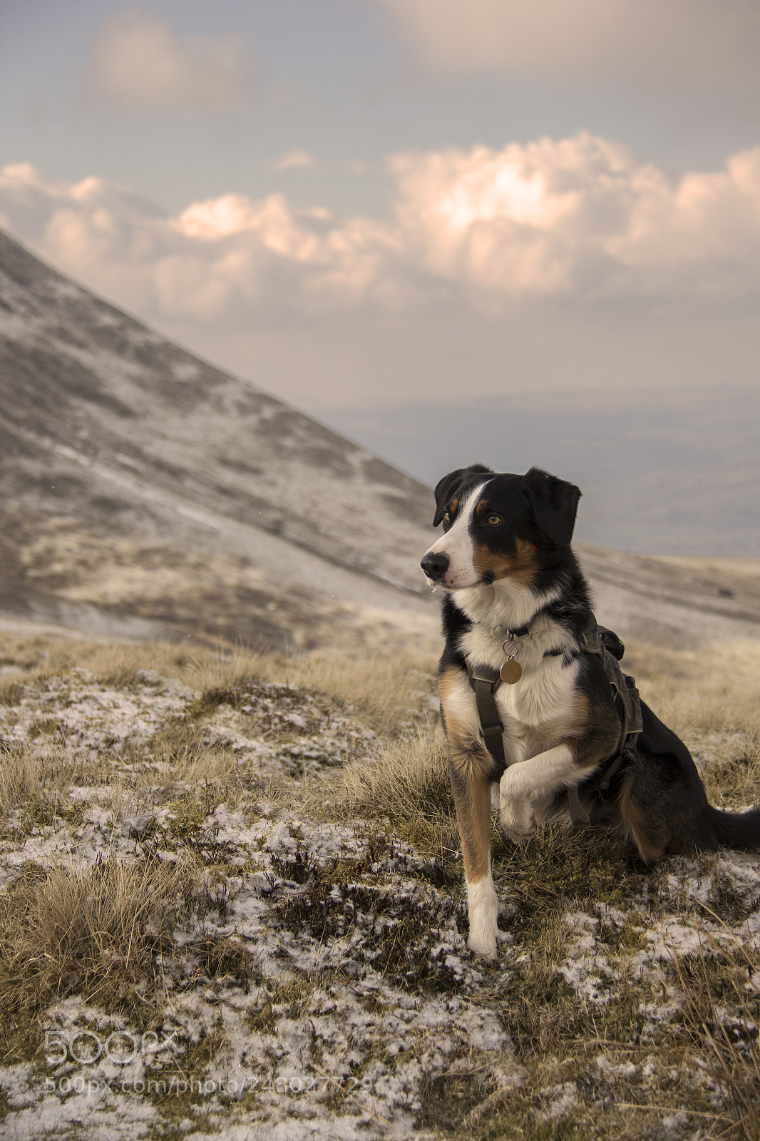 Canon EOS 60D sample photo. Mountain walk photography